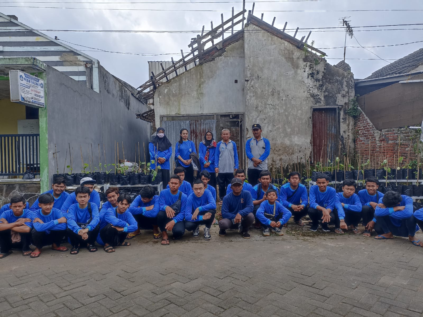 budidaya sayuran pkbm dalmas