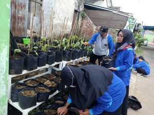 belajar menamam pkbm dalmas lawang